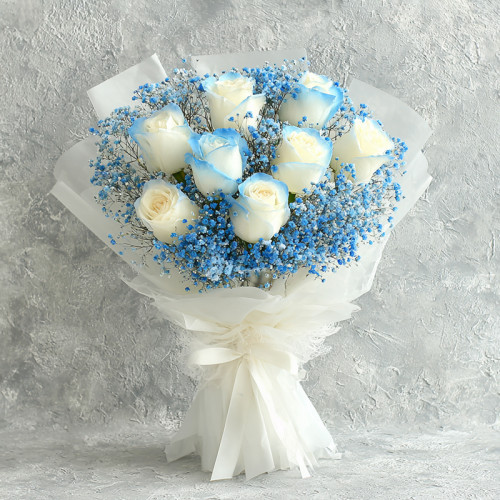 Ang Mo Kio Birthday Succulents Cheap Discount